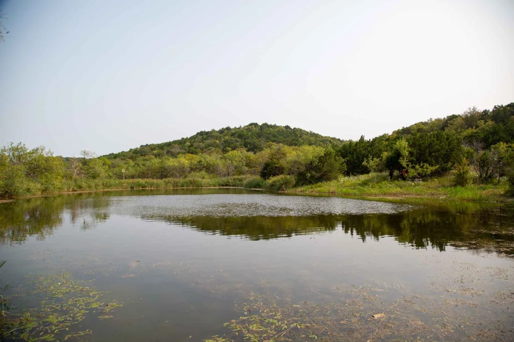 Cedar Ridge Preserve